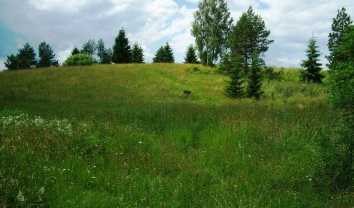 Dubravų piliakalnis, Samylų sen.