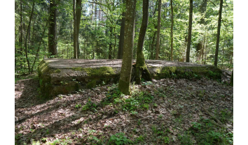 Pirmojo pasaulinio karo Palemono–Narėpų gynybinių įtvirtinimų linijos šiaurinės dalies slėptuvių pirmo komplekso penkta aktyvioji slėptuvė