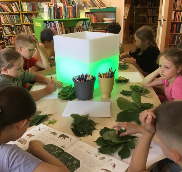 Vaikų vasaros užimtumo programa Ringaudų bibliotekoje