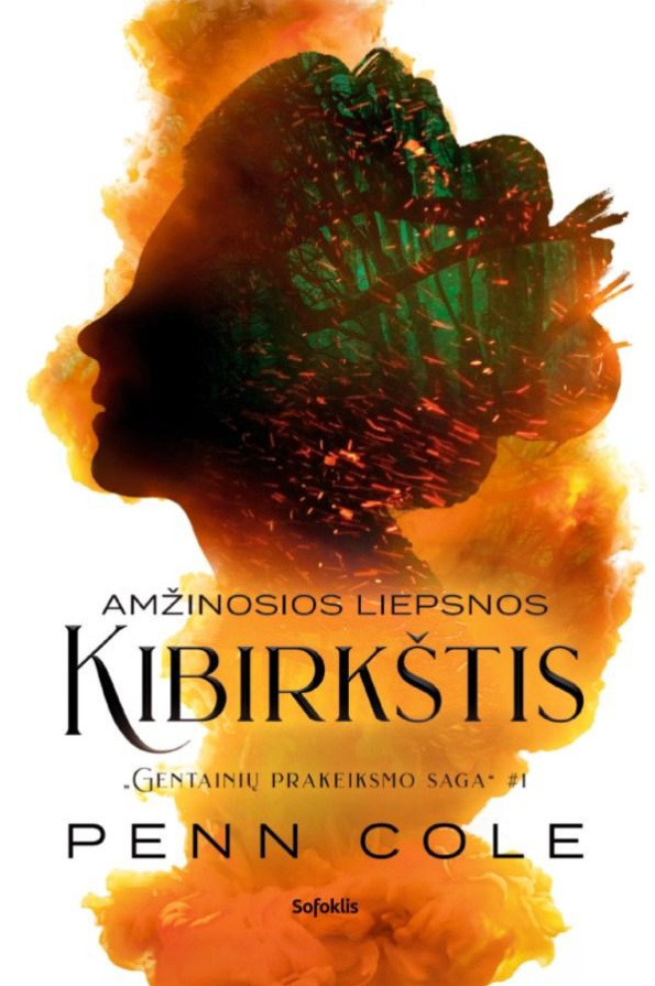 Amžinosios liepsnos kibirkštis