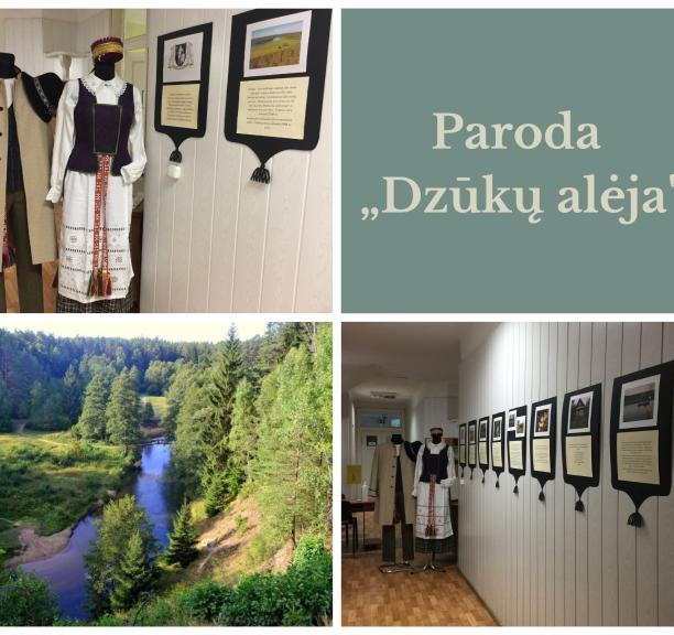 Kūrybinė paroda „Dzūkų alėja“