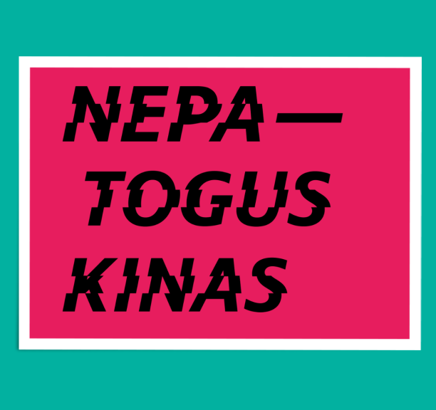 „Nepatogus kinas“ Kauno rajono savivaldybės viešojoje bibliotekoje