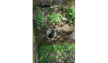 Pirmojo pasaulinio karo Palemono–Narėpų gynybinių įtvirtinimų linijos šiaurinės dalies slėptuvių pirmo komplekso pirma pasyvioji slėptuvė-sekykla