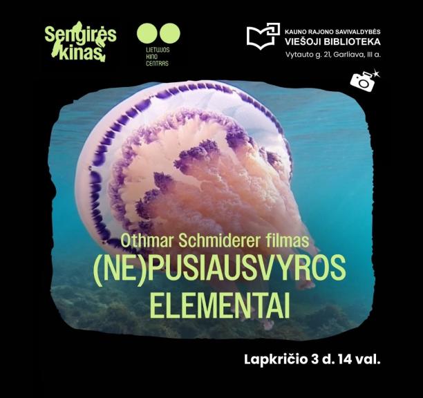 SENGIRĖS KINAS Kauno rajono savivaldybės viešojoje bibliotekoje: (NE)PUSIAUSVYROS ELEMENTAI