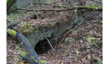 Pirmojo pasaulinio karo Palemono–Narėpų gynybinių įtvirtinimų linijos šiaurinės dalies slėptuvių antro komplekso pirma aktyvioji slėptuvė