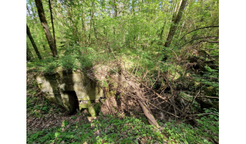 Pirmojo pasaulinio karo Palemono–Narėpų gynybinių įtvirtinimų linijos šiaurinės dalies slėptuvių pirmo komplekso pirmos aktyviosios slėptuvės liekanos