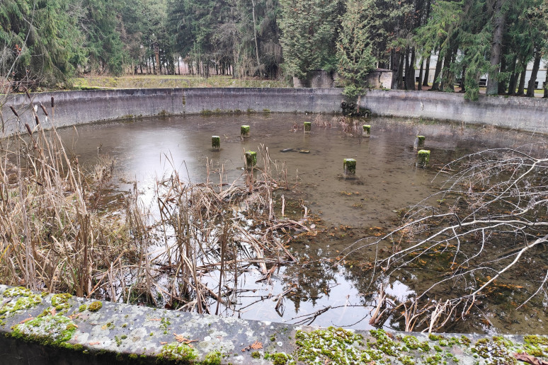 Buvęs baseinas stoties kiemelyje. Kristinos Meilutės nuotr., 2025 m