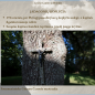 0006_4_1791269393-f7cafd1b15e7af596bf98e4778f34f59.png
