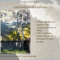 0013_11_1791269394-21a9a13725c7ae29935ef1f9932a13b8.png