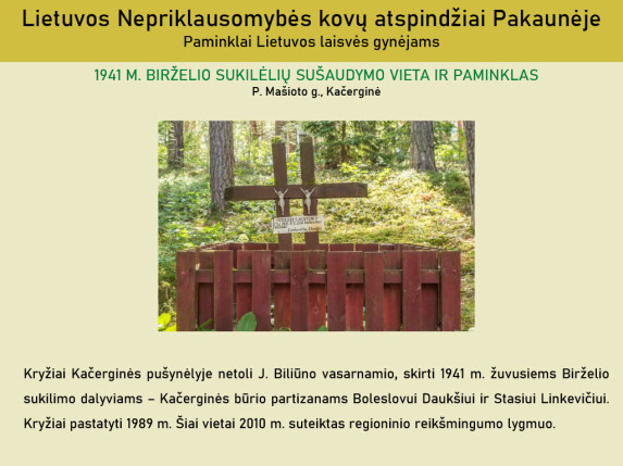 0027_lietuvosnepriklausomybeskovuatspindziaipakauneje1024_26_1666604174-8e6ac92a52c309c85631efcdeab3e364.jpg